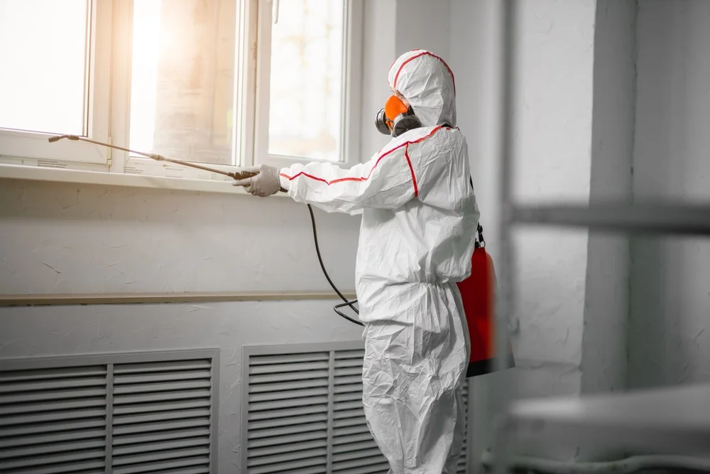 Professional mold remediation services in Tuckerton, NJ